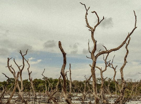 27.05. | Apokalypse Now! – Wie Resilient ist unsere Gesellschaft