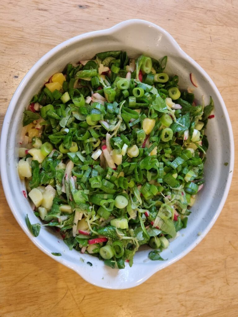 Hallesche Radieschen-Kartoffel-Bowl